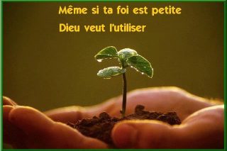 la-foi-1.jpg