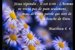 lhomme-ne-vivra-pas-seulement-de-pain.jpg