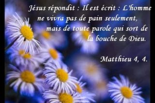 lhomme-ne-vivra-pas-seulement-de-pain.jpg