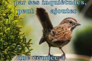 mathie10.jpg