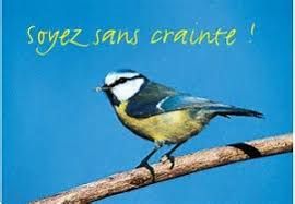 soyez-sans-crainte.jpg