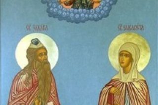 zaharia_elisaveta2-500x493.jpg